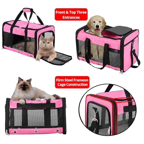 Soft Sided Cat/Dog Carrier,Collapsible Pets Travel Carriers for Pet/Puppy with Shoulder Strap & Removable Mat,Mesh Top Load Small Dogs/Cats Carry Bag Up to 17 Lbs TSA Airline Approved（Pink,M） - size: M Pink