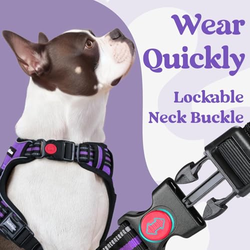 rabbitgoo Dog Harness Small Sized, No Pull Pet Harness with 3 Buckles, Adjustable Soft Padded Vest with Control Handle, Walking Reflective Pet Vest for Small Dogs, Purple, S - color: Purple, size: Small