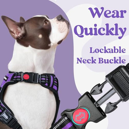 rabbitgoo Dog Harness Small Sized, No Pull Pet Harness with 3 Buckles, Adjustable Soft Padded Vest with Control Handle, Walking Reflective Pet Vest for Small Dogs, Purple, S - color: Purple, size: Small