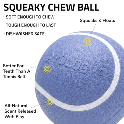 Playology Dog Toys | Squeaky Chew Ball for Dogs | Blueberry Scented Medium Dog Ball | Bouncy Floating Chew Toys for Fetch - size: Medium, style: Blueberry