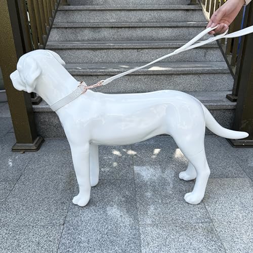 Dog Leash 6ft Long,Traffic Padded Two Handle,Heavy Duty,Double Handles Lead for Control Safety Training,Leashes for Large Dogs or Medium Dogs,Dual Handles Leads (Off-White, 25MM*6FT) - color: Off-White