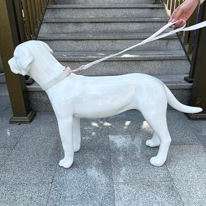 Dog Leash 6ft Long,Traffic Padded Two Handle,Heavy Duty,Double Handles Lead for Control Safety Training,Leashes for Large Dogs or Medium Dogs,Dual Handles Leads (Off-White, 25MM*6FT) - color: Off-White
