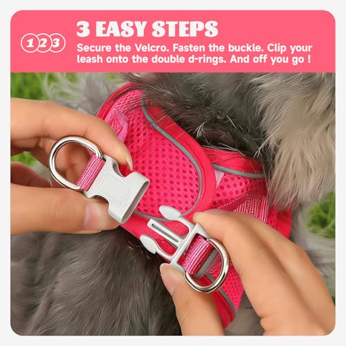 Dog Harness Small Sized and Leash Set, Step in Soft Light Puppy Vest, Breathable Mesh Pet Harness, Reflective for Safe Easy Walking. - color: Pink, size: Large (Pack of 1)