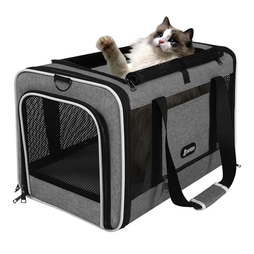 GAPZER Cat Carrier 18x11x11 Top Load Soft Pet Travel Bag Over 15 lbs, Collapsible Small Dog Puppy Crate 10 Pounds, Small Animal Rabbit Kennel Carrying Case, Kitten Mesh Cage Medium Cat Under 25 Grey - color: Grey