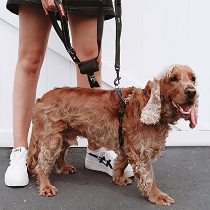 EzyDog Crosscheck No Pull Dog Training Harness – 2-in-1 Escape Proof Reflective Dog Harness for Easy Controlled Walks (XL, Blue) - color: Blue, size: XL
