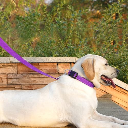 Reflective Dog Leash 6 FT Padded Handle Nylon Dogs Leashes for Small Dogs Dark Magenta - color: Refl Magenta, size: Small : 5/8" x 6 FT