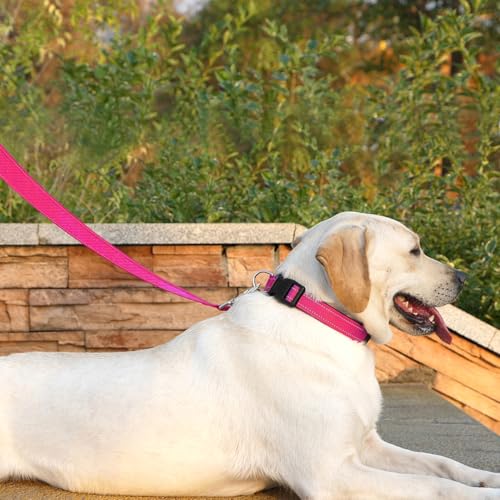 Dog Leash 6 FT Padded Handle Nylon Reflective Dogs Leashes for Small Dogs Hot Pink - color: Refl Hot Pink, size: Small : 5/8" x 6 FT
