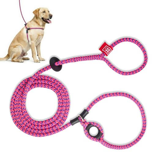 Harness Lead No Pull Dog Harness and Leash Set, Anti Pull Dog Harness, One-Piece Cushioned Rope Safely Prevents Escaping and Pulling (Medium/Large, Pink/Purple) - color: Pink/Purple