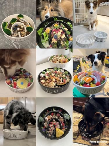 LE TAUCI PET Ceramic Slow Feeder Bowl Elevated - 1.5 Cup with Wood Stand for Small & Medium Breed, Anti-Gulping, Black - color: Black+Stand, size: M-1.5 Cups