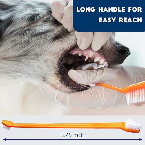 300 Pcs Dog Toothbrush Cat Tooth Brushes Bulk, Double Sided Brushing Kit, Teeth Cleaning Kit Soft Bristles Long Handle, Pet Tooth Brush for Small to Large Dog, Cat, Puppy & Kitten, 10 Colors - style: 300 pcs