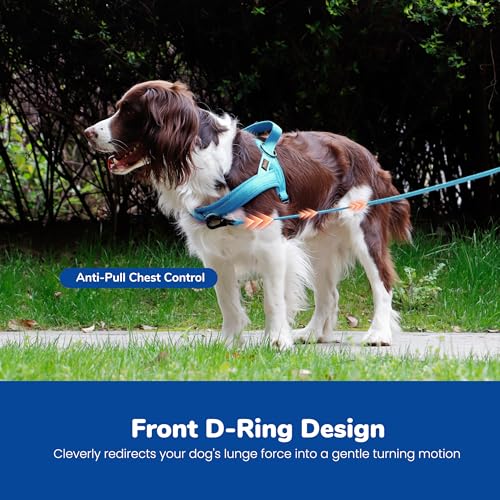 Didog No Pull Dog Harness with Breathable Mesh Padded,Reflective & Quick Fit Light Weight Dog Strap Vest Harness,Easy for Walking Training (M:Chest 21-26", Mesh-Blue) - color: Blue, size: M: Chest 21-26", Fit 28-50 lbs