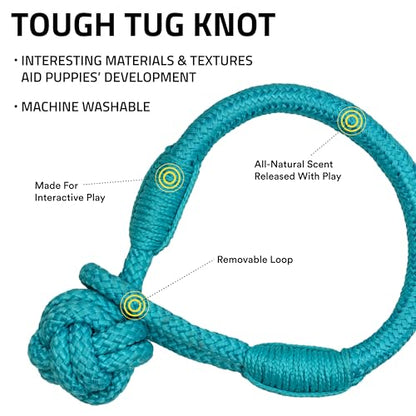 Playology Dog Toys | Tough Tug Knot for Puppies and Young Dogs | Peanut Butter Scented Medium Chew Toy Tug Rope | Tug of War Puppy Essentials - size: Medium, style: Peanut Butter