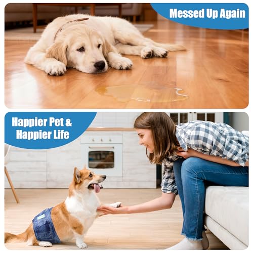 Wegreeco Jeans Washable Dog Diaper Male (Pack of 3) - Washable Male Dog Belly Wrap (Small) - color: Blue Jeans, size: Small (Pack of 3)
