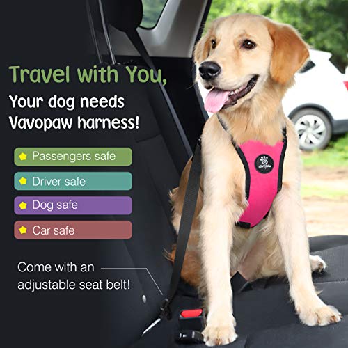 VavoPaw Dog Seat Belt, Safety Vest Dog Car Harness with Adjustable Buckle, Heavy Duty Dogs Seat Belt for Vehicle Nylon Pet Safety Seats Belts, L, Magenta - color: Magenta, size: L (Chest: 22-32.3", Neck: 16.9-26")
