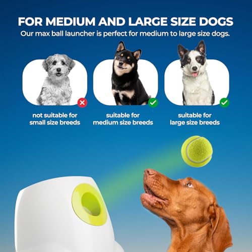 ALL FOR PAWS Automatic Ball Launcher for Dogs Interactive Puppy Pet Ball Outdoor Thrower Fetch Machine, 6 Balls Included (2.5 inch) + Six Tennis Balls Bundle