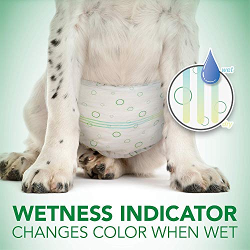 Vet's Best Vet’s Best Comfort Fit Disposable Male Dog Diapers | Absorbent Male Wraps with Leak Proof Fit | Large, 12 Count - size: Large, style: 12 count