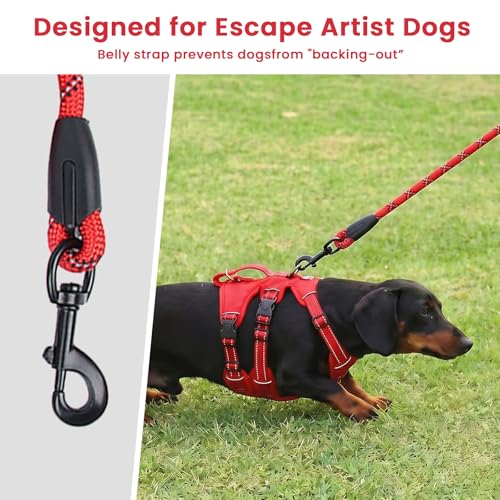 Escape Proof Dog Harness and Leash Set,Soft Padded Full Body Pet Harness, No Pull Reflective Adjustable Dog Vest with Handle, Easy Control Dog Harness for Medium Large Dogs Training Walking Running - color: Red, size: M