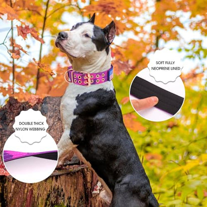 Heavy Duty Tactical Dog Collar with Neoprene Padded and Metal Buckle, Reflective Nylon for Medium to Large Dogs(Purple Camo, Large) - color: Purple Camo, size: Large (Pack of 1)