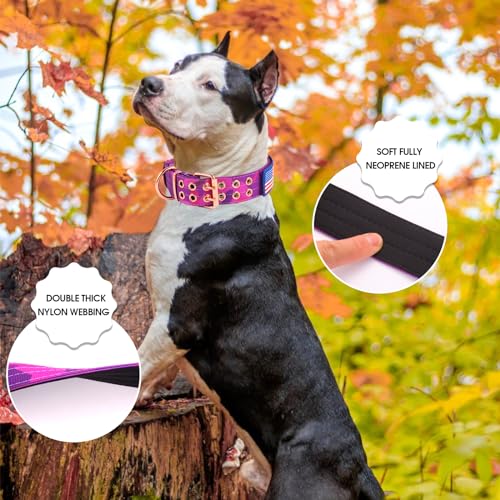 Heavy Duty Tactical Dog Collar with Neoprene Padded and Metal Buckle, Reflective Nylon for Medium to Large Dogs(Purple Camo, Medium) - color: Purple Camo, size: Medium (Pack of 1)