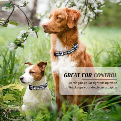 Hikiko Plaid Dog Collar for XSmall Puppy Dogs with Adjustable Nylon Martingale Collars Quick Release Buckle (Beige Plaid,X-Small) - color: Beige plaid, size: X-Small