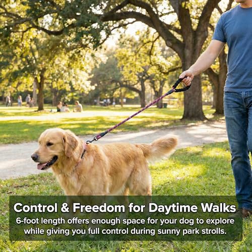 Dog Leash for Medium,Large and Small Dog,Heavy Duty, Durable Rope,Lightweight Design for Walking,Training,and Outdoor Activities,Pack of 2 Leash,Black and Purple,6Ft,1/2 inch - color: 2PCS-Black+Purple