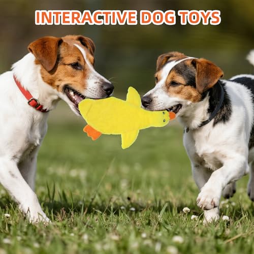 PAWCHIE Squeaky Dog Toys for Small Medium Large Dogs, No Stuffing Crinkle Puppy Toy,Soft Pet Plush Teething Toys 2 Pcs Mess-Free Interactive Chew Toy for Boredom Best Birthday Gift, Yellow & Wild Duck