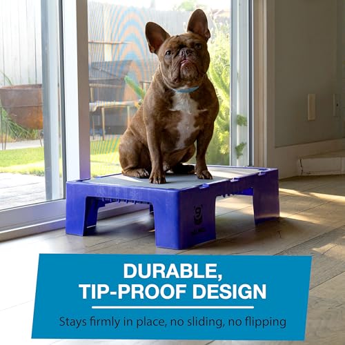 Blue-9 KLIMB Jr. Professionally Designed Dog Training Platform and DIY Guide for Behavior Basics, Made in The USA, Blue - color: Blue