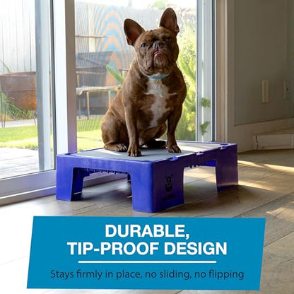 Blue-9 KLIMB Jr. Professionally Designed Dog Training Platform and DIY Guide for Behavior Basics, Made in The USA, Blue - color: Blue