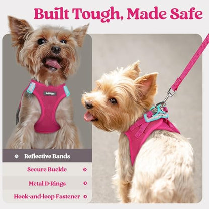 rabbitgoo Dog Harness Small Sized and Leash Set, Step in Soft Light Puppy Vest, Breathable Mesh Pet Harness, Reflective for Safe Easy Walking, Rosa Red XXXS - color: Rose Red, size: Xxxs (chest: 10.8 - 11.8")