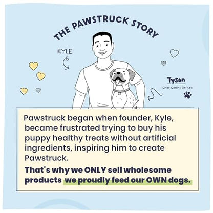 Pawstruck Large 5-6" Filled Dog Bones, Peanut Butter Flavor - Made in USA, Long Lasting Stuffed Femur for Aggressive Chewers, Dental Treat - Pack of 3, Packaging May Vary - size: 3 Pack