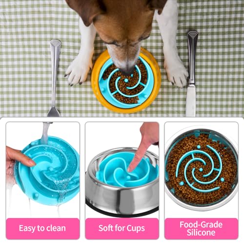 Slow Feeder Dog Bowls Insert, Bestalk Soft Silicone Slow Eating Feeder Insert with Suction Cups for Small, Medium and Large Dogs, Fit into Basic and Elevated Dog Bowls, Teal - color: Teal, size: L