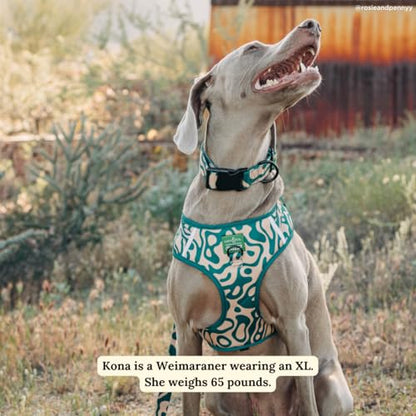 Lucy & Co. x Parks Project Geyser No-Pull Dog Harness, Adjustable Front Clip Harness with Comfort Padding, X-Large - color: Geyser, size: X-Large