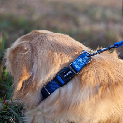 Hyhug Medium Dog Collar, Blue:Heavy-Duty Quick-Release Nylon Buckle, Adjustable & Durable, Cute Dog Collar (Medium, Classic Blue) - color: Classic Blue, size: Medium