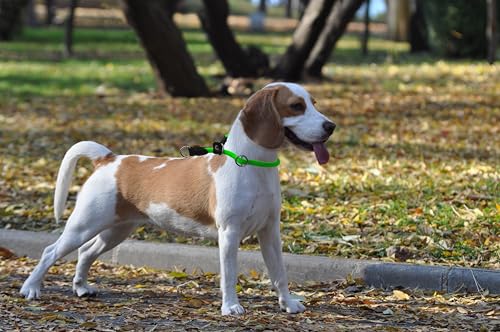 Braided Round Martingale Dog Collar, Training Collar with Slidable Stop Ring and Adjustable Stopper - Ideal for Medium Dogs (M(1/3") - 18" Long, Light Green) - color: Light Green, size: M(1/3") - 18" Long with stopper