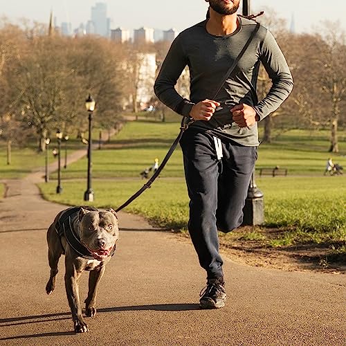 Hands Free Leather Dog Leash 8ft，Durable Genuine Leather Multi Function Dog Leashes，Strong Leash for Small Medium Large Breed Dogs