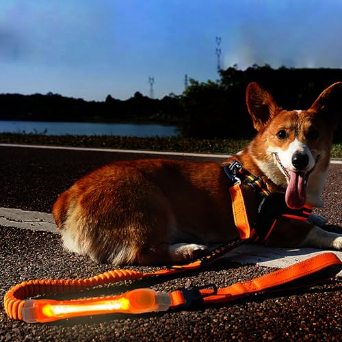 Heavy Duty Dog Leash and LED Light Set, LED Light with Nylon Stickers, Universal Glowing Accessories Easy to Attach Collar Leash and Harness, Safety LED Light Up Band for Dogs at Night Walking - color: YellowOrange+Tangerine light