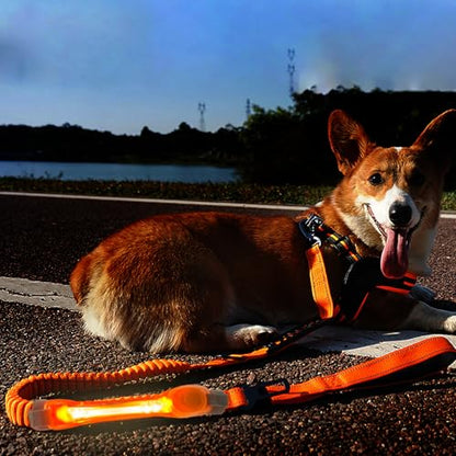 Heavy Duty Dog Leash and LED Light Set, LED Light with Nylon Stickers, Universal Glowing Accessories Easy to Attach Collar Leash and Harness, Safety LED Light Up Band for Dogs at Night Walking - color: YellowOrange+Tangerine light
