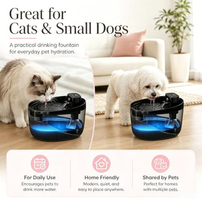 Cordless Cat Water Fountain, Pet Drinking Dispenser with LED Light, 4000mAh Battery Operated, 74oz/2.2L Wireless Fountain for Cats, Dogs and Small Pets (Black Water Fountain)