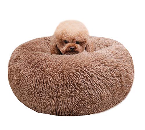 Modern Soft Plush Round Pet Bed for Cats or Small Dogs, Mini Medium Sized Dog Cat Bed Self Warming Autumn Winter Indoor Snooze Sleeping Cozy Kitty Teddy Kennel (24'' D x 8'' H, Coffee) - color: Coffee, size: Medium 24''