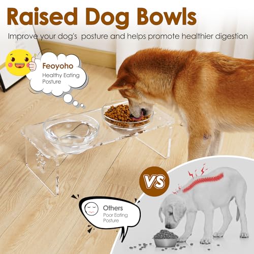 Elevated Dog Bowls for Medium Dogs – 5.5” Acrylic Raised Pet Feeder Stand with 2 Stainless Steel & 2 Glass Removable Bowls – Food & Water Dish Set - size: Medium Dogs-5.5" Height