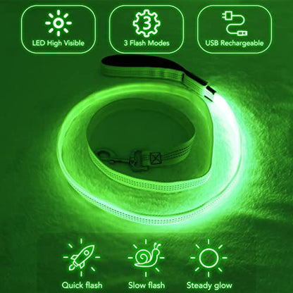 Light Up Dog Leash, USB Rechargeable, LED (4FT,Green & Reflective Wires) | Glow in dark, reflective, USB-C rechargeable, bright LED for night safety, fits small to large dogs - color: Green & Reflective Wires, size: 4FT