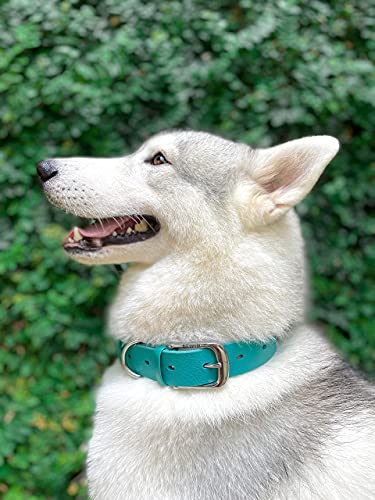 Tuff Pupper Classic Heavy Duty Dog Collar | 10x Stronger Than Leather | 100% Waterproof & Odor Proof Dog Collar | Tough Rust-Proof All Metal Hardware - color: Tropical Teal