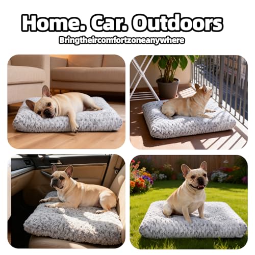 Dog Bed Medium Size Dog Deluxe Plush, Washable Medium Dog Beds, Indestructible Dog Crate Pad, Anti-Slip Soft Pet Bed, Comfy Kennel Pad for Large, Jumbo, Small, Medium Dogs, 29"x 21"-L, Light Gray - color: Light Grey, size: 29"L x 21"W x 3"Th