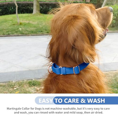 Soft Leather Martingale Dog Collar - Adjustable Rose Gold Limited Slip Collars [Easy to Clean], Stylish Durable Heavy Duty Nylon No Pull Training Collar for Small Medium Large Dogs XS Dark Blue - color: Dark Blue, size: XS (Neck 8"-11", Width 3/5")