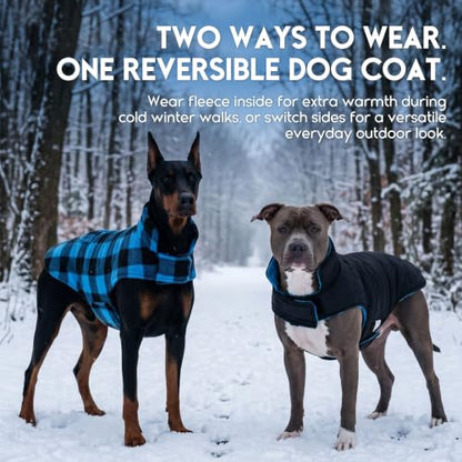 ASENKU Dog Winter Coat, Fleece Doggie Jacket Plaid Reversible Vest Waterproof Windproof Cold Weather Clothes for Small Medium Large Dogs (M, Blue) - color: Blue, size: Medium