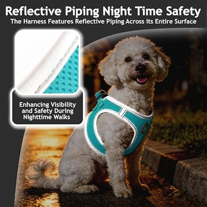 Dog Harness (Chest 14.5"-15.5", Weight 6–10 lbs) Athletica Adjustable Heavy Duty No Choke Puppy Vest for Small Dogs Lightweight Air Mesh, Reflective, Puppy Essentials – Turquoise, Small - color: Turquoise, size: Small