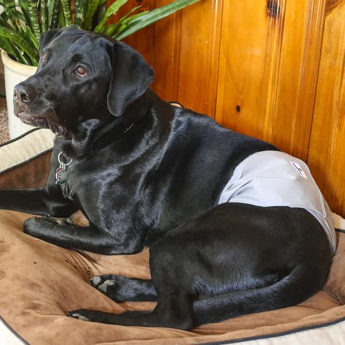 Pet Parents® Washable Belly Bands for Male Dogs (3pack) + Extendrs® of Durable Dog Diapers Male, Premium Male Dog Diapers & Dog Wraps (Small, Natural) - color: Natural, size: Small (13-16")