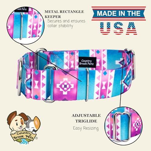 Country Brook Petz - HossFit Jr Wide Martingale Dog Collar - Country and Western Collection Featuring Rustic Designs (Albuquerque, Medium) - color: Albuquerque, size: Medium (Pack of 1)