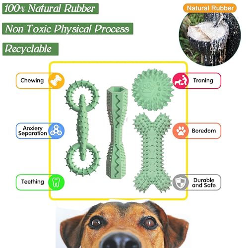 4 Pack Puppy Toys for 2-8 Months Pets Dog Chew Toy for Small Puppies Teething Toys for Cleaning Teeth Food Dispensing Soft Durable Rubber Bone Funny Ball Interactive Donut Treat Dumbbell (Green) - color: Green