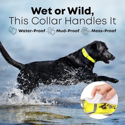 Regal Dog Products Large Yellow Dog Collar with Heavy Duty Double Buckle & D Ring | Vinyl Coated, Custom Fit, Adjustable Biothane Dog Collar | Chew Resistant Waterproof Center-Ring Collar for Dogs - color: Yellow, size: Large
